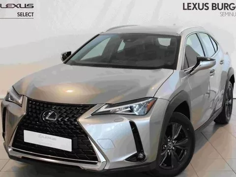 LEXUS UX Business
