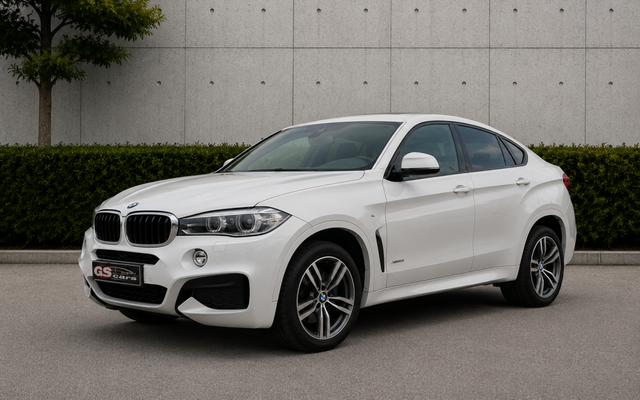 BMW X6 X6 xDrive 30dA