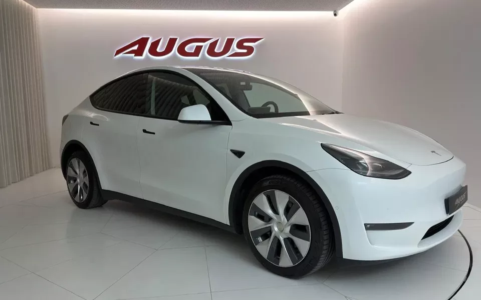 Tesla Model Y Long Range Dual Motor AWD