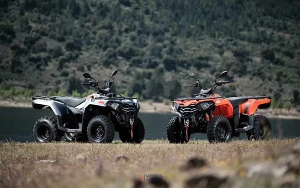 Loncin Otros LX300