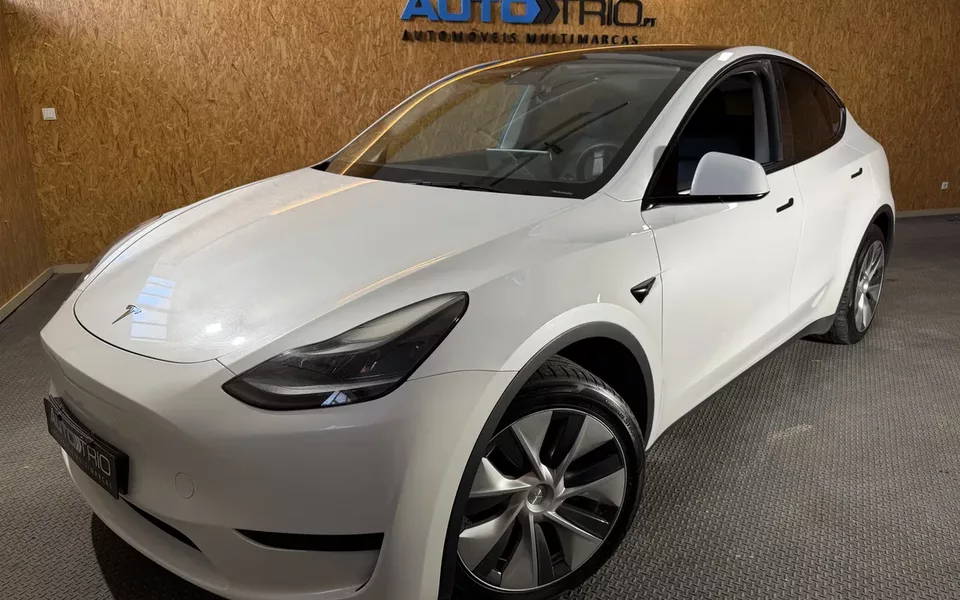 Tesla Model Y Standard