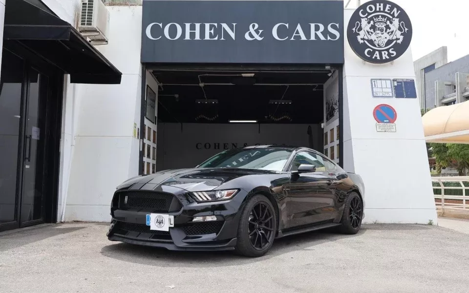 FORD Mustang Mustang Shelby GT350