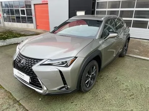 LEXUS UX UX 250h Business City 2WD