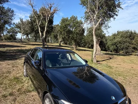 BMW 530 e iPerformance Line Luxury