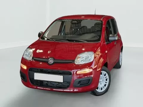 Fiat PANDINA Pandina 1.0 65 ch Hybrid BSG S/S Icône Occasion