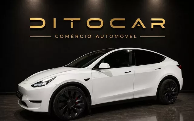 Tesla Model Y Performance Dual Motor AWD
