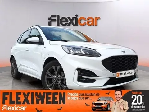 FORD Kuga ST-Line 2.0 EcoBlue MHEV 110kW (150CV) - 15790€ en Burgos