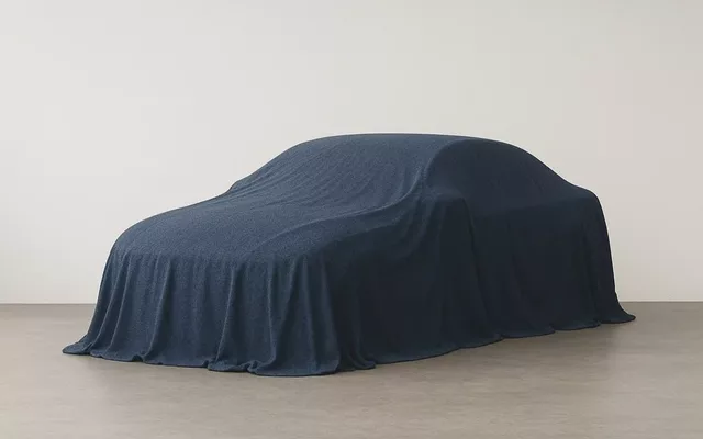LEXUS NX NX 300h Business 2WD