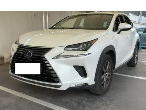 LEXUS NX NX 300h Executive 4WD