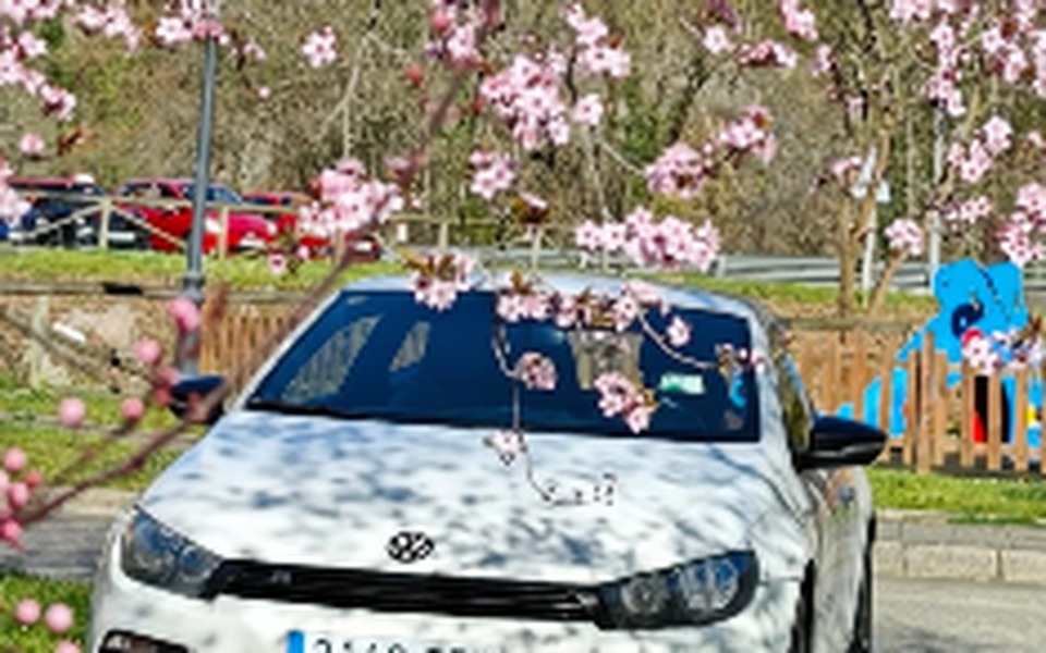 VOLKSWAGEN Scirocco Scirocco 1.4 TSI