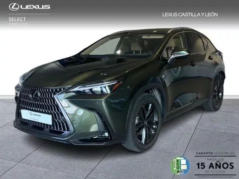 LEXUS NX EXECUTIVE PLUS