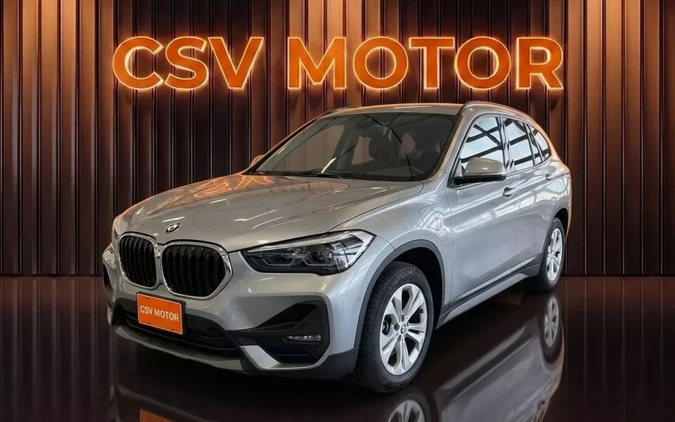 BMW X1 X1 xDrive25eA