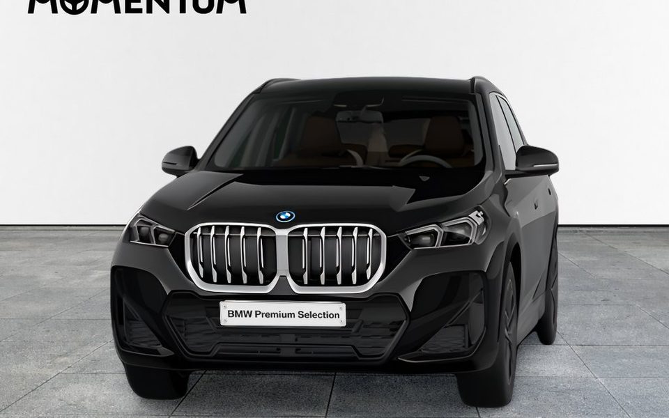 BMW X1 X1 xDrive25eA