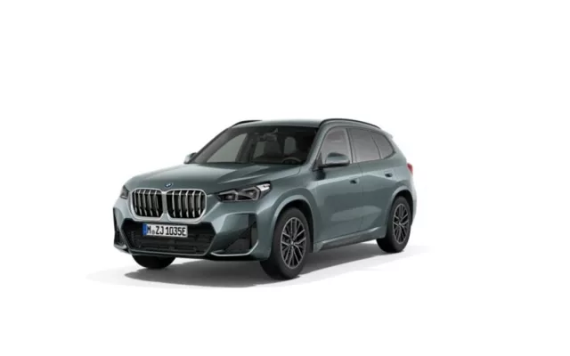 BMW X1 xDrive25e 180 kW (245 CV)