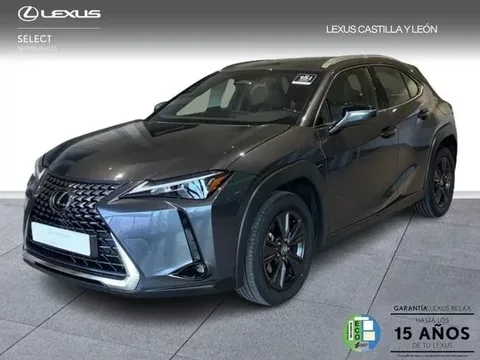 LEXUS UX 300H + 2WD