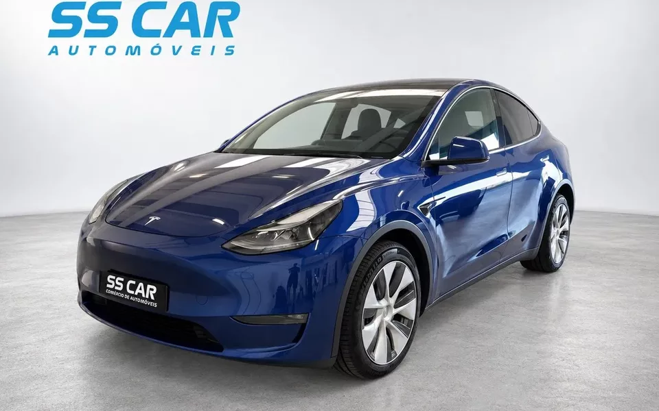 Tesla Model Y Long Range Tração Integral