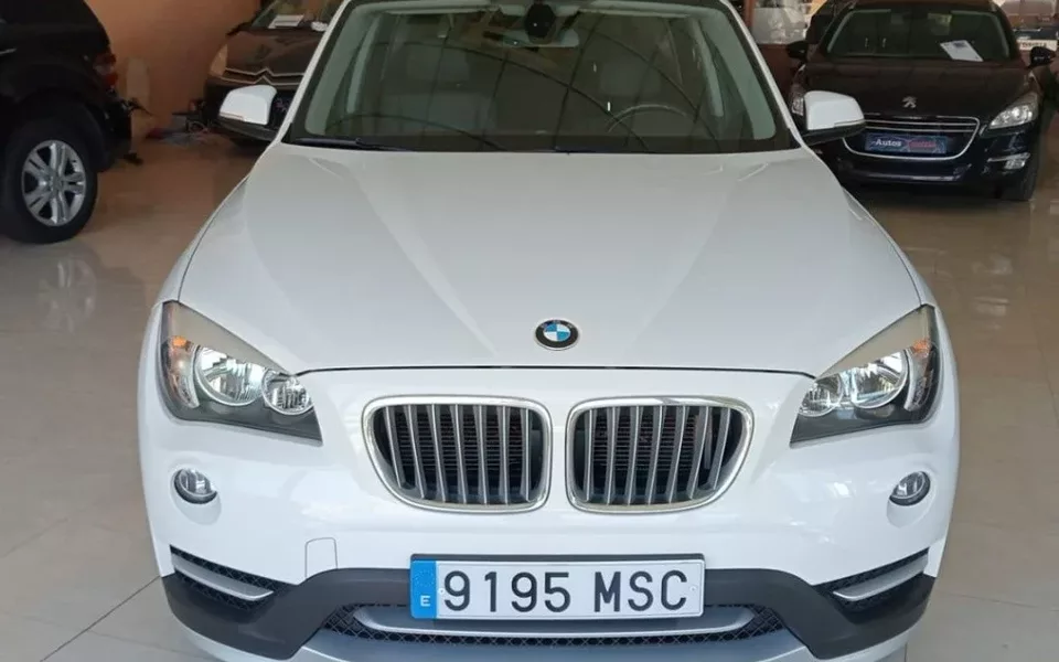 BMW X1 X1 xDrive 20d