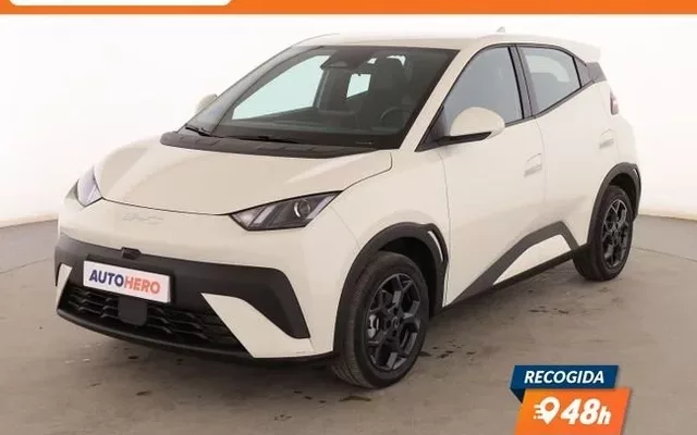 BYD Dolphin Surf electric drive 65 kW Boost