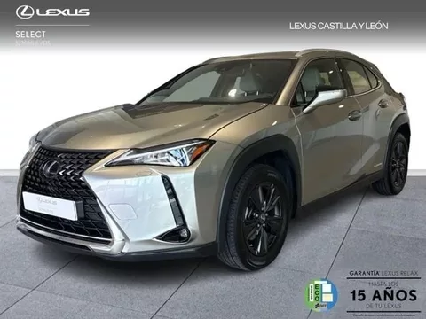 LEXUS UX UX 250h Business City 2WD