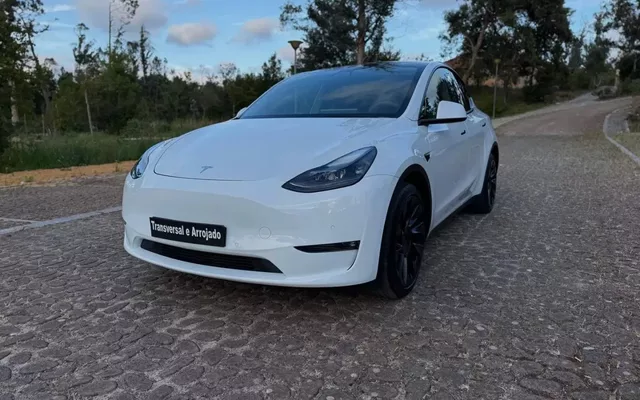 Tesla Model Y Long Range Dual Motor AWD