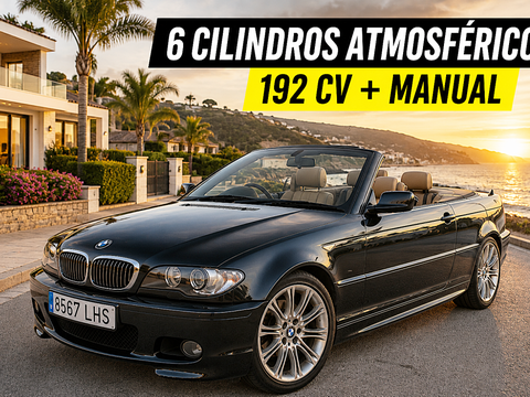 BMW Serie 3 325 Ci Cabrio