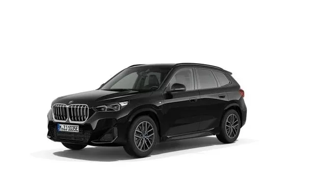 BMW X1 X1 xDrive25eA