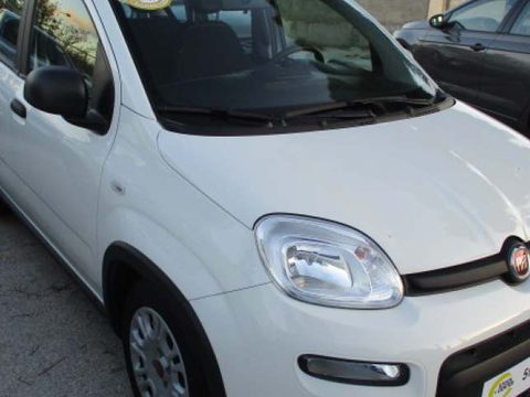 Fiat - Panda - 5 Χρόνια Εγγύηση - URBAN HYBRID - Ασπρο - 2024