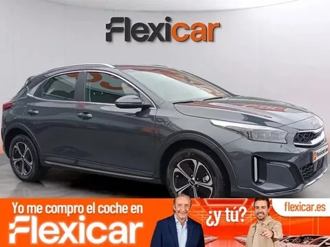KIA XCeed XCeed 1.6 PHEV eDrive Aut.
