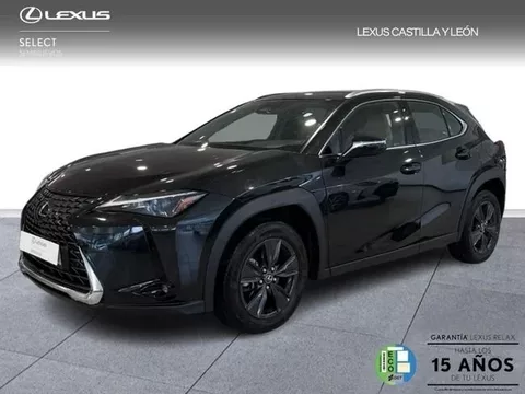 LEXUS UX 300H + 2WD