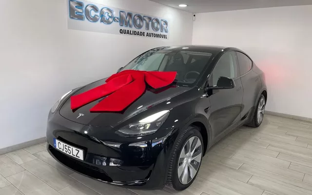 Tesla Model Y Standard