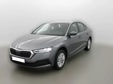 Skoda Octavia Octavia 1.0 TSI mHEV e-TEC 110 ch DSG7 Ambition Occasion