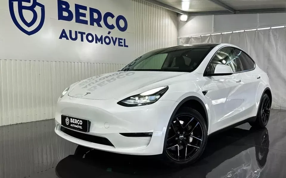 Tesla Model Y Long Range Dual Motor AWD