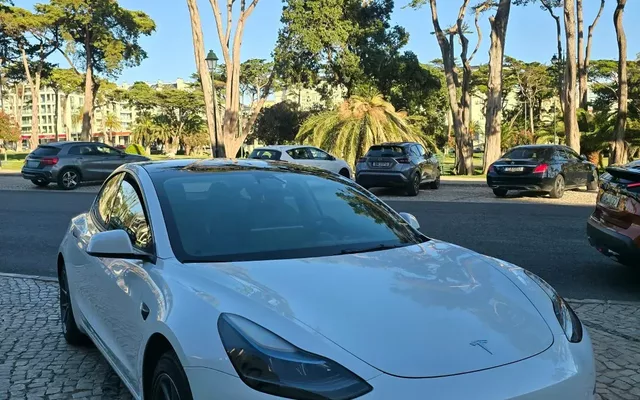 Tesla Model 3 Standard RWD