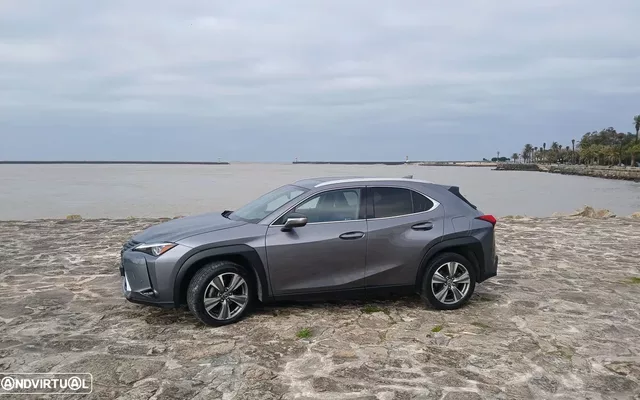 Lexus UX 300e Luxury