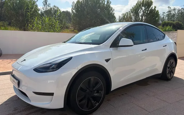 Tesla Model Y Standard