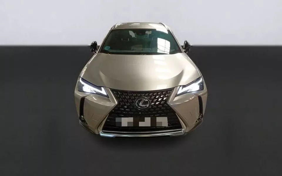 LEXUS UX 2.0 250h Business