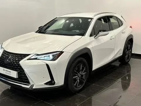 LEXUS UX BUSSINESS 2WD