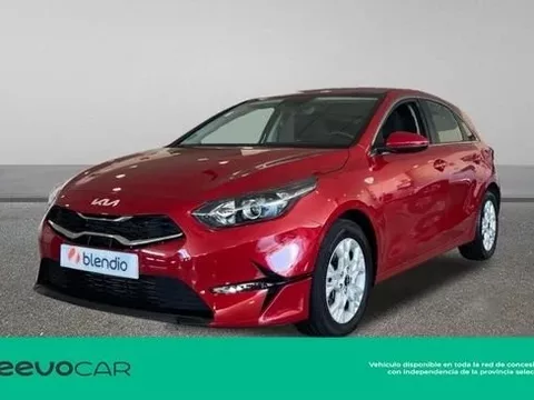 KIA Ceed 1.6 MHEV DRIVE 136CV 5P