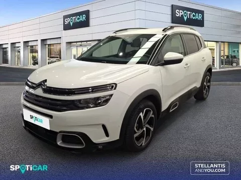 CITROEN C5 Aircross BlueHdi 96kW (130CV) S&S EAT8 Feel
