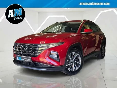 HYUNDAI Tucson Tucson 1.6 TGDI 48V Maxx Safe 4x2