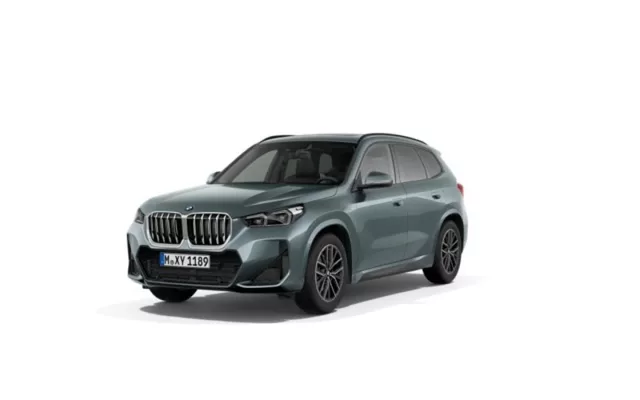 BMW X1 X1 xDrive 20dA