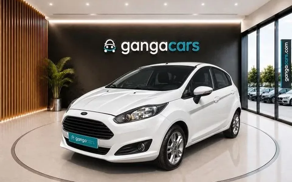 FORD Fiesta 1.25 Duratec 82cv Trend 5p