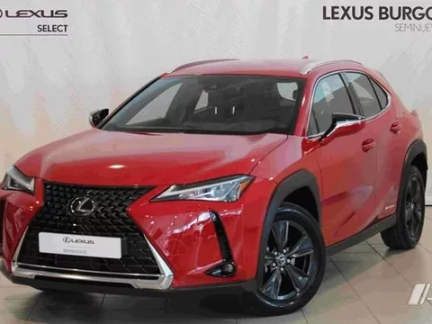 LEXUS UX Business