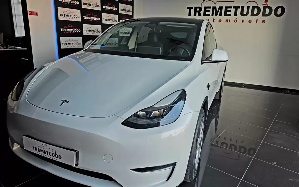 Tesla Model Y Long Range Dual Motor AWD