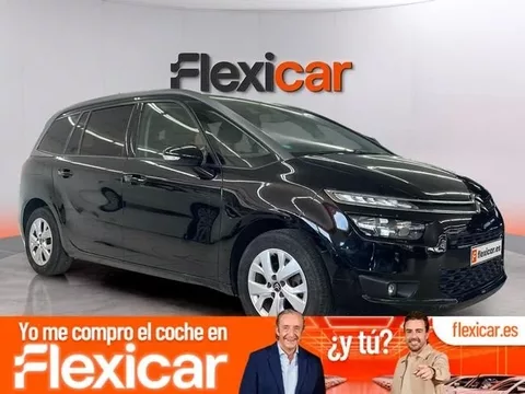 CITROEN C4 PureTech 130 S&S 6v Live Edition