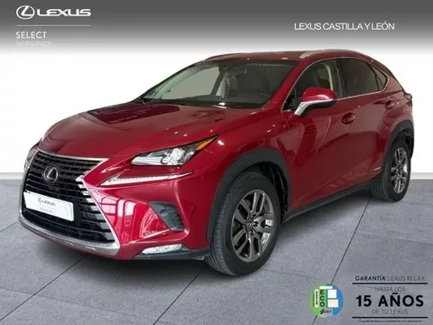 LEXUS NX NX 300h Executive Navigation 4WD