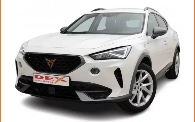 Cupra Formentor 1.4 TSi 204 PHEV DSG Occasion