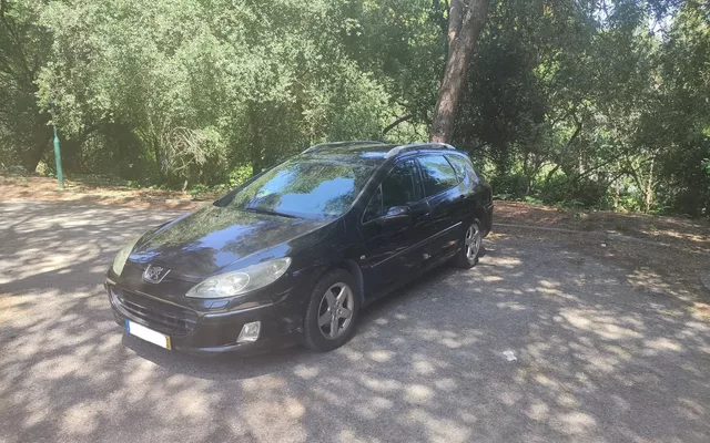 Peugeot 407 SW 1.6 HDi Executive FAP