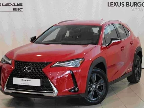 LEXUS UX 250H BUSSINES 2WD + SENSORES