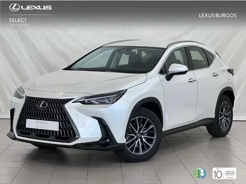 LEXUS NX PREMIUM